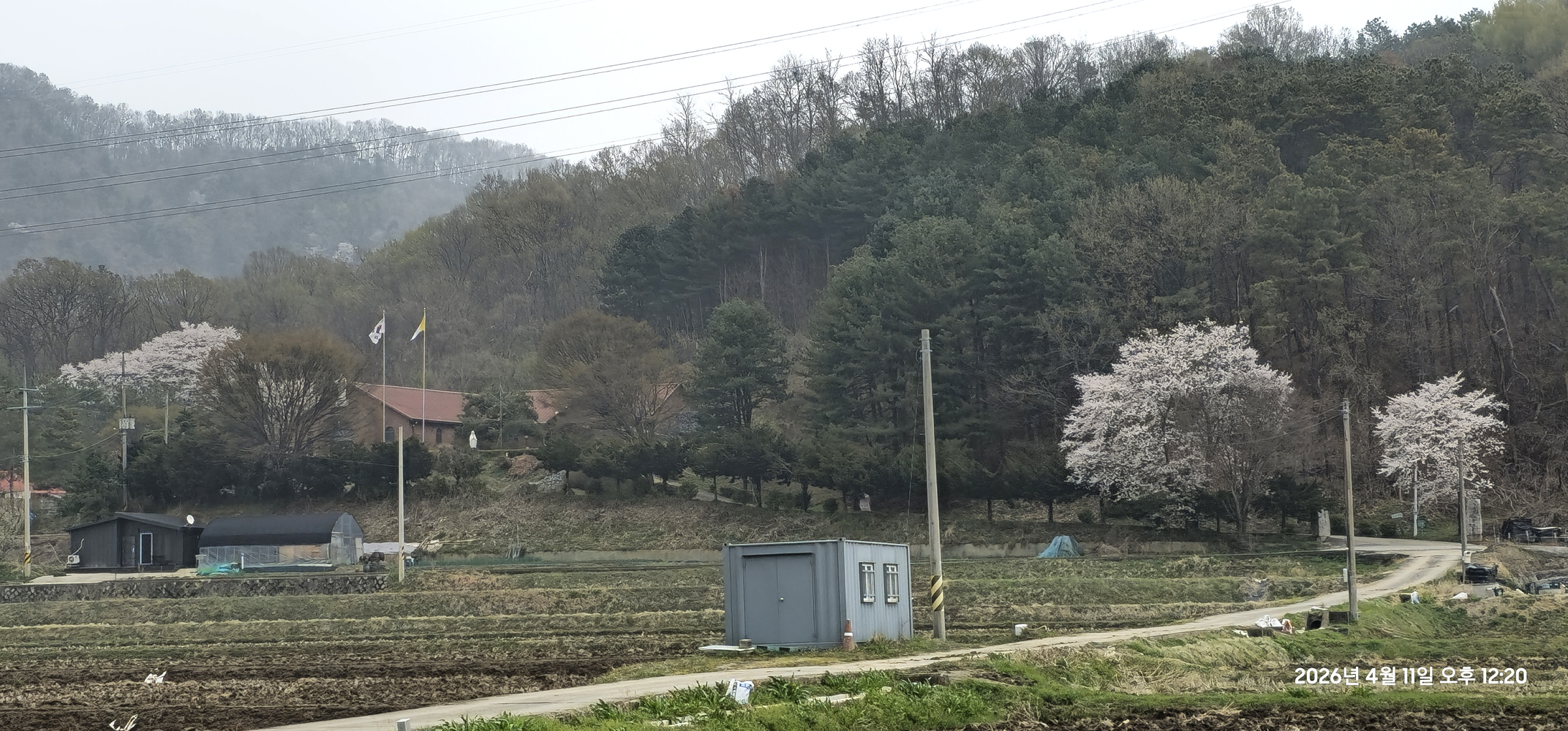 곡수성당 봄풍경(2026.04.10~04.11)