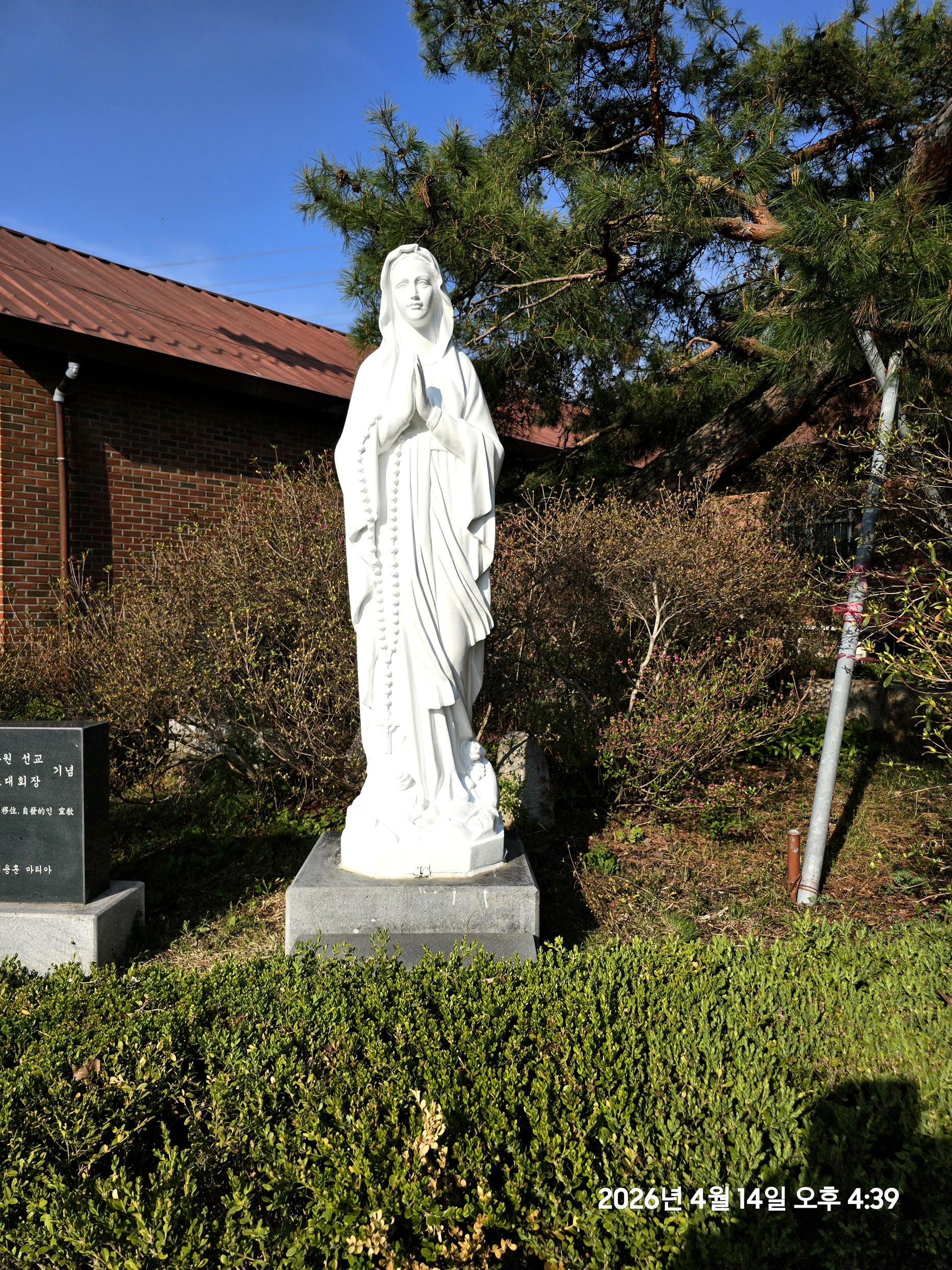 곡수성당, 성모상, 예수성심상 페인트 칠(신장성당 2026.04.14)