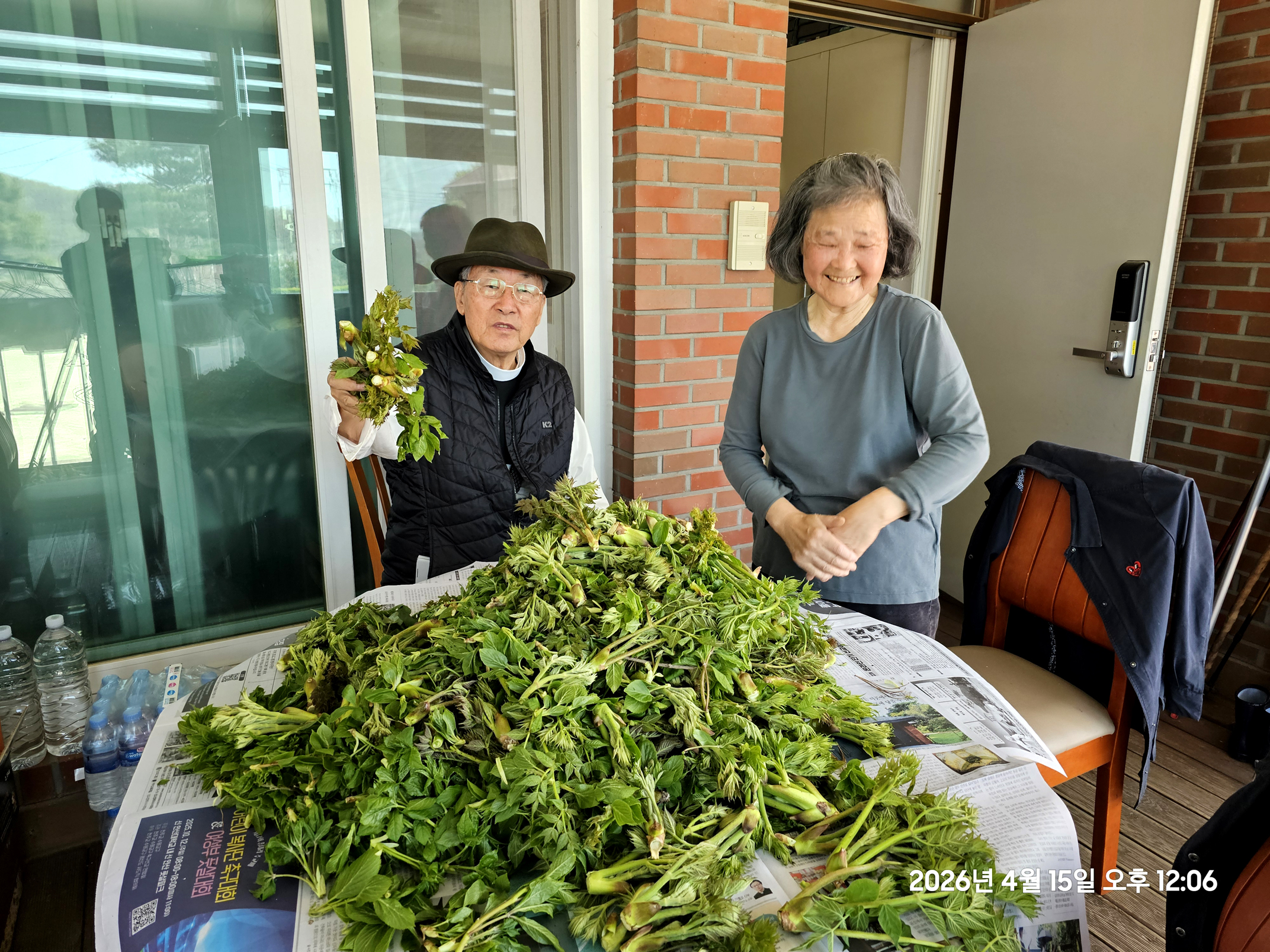 곡수성당 울타리 안팎의 두릅 채취(2026.04.15~16)