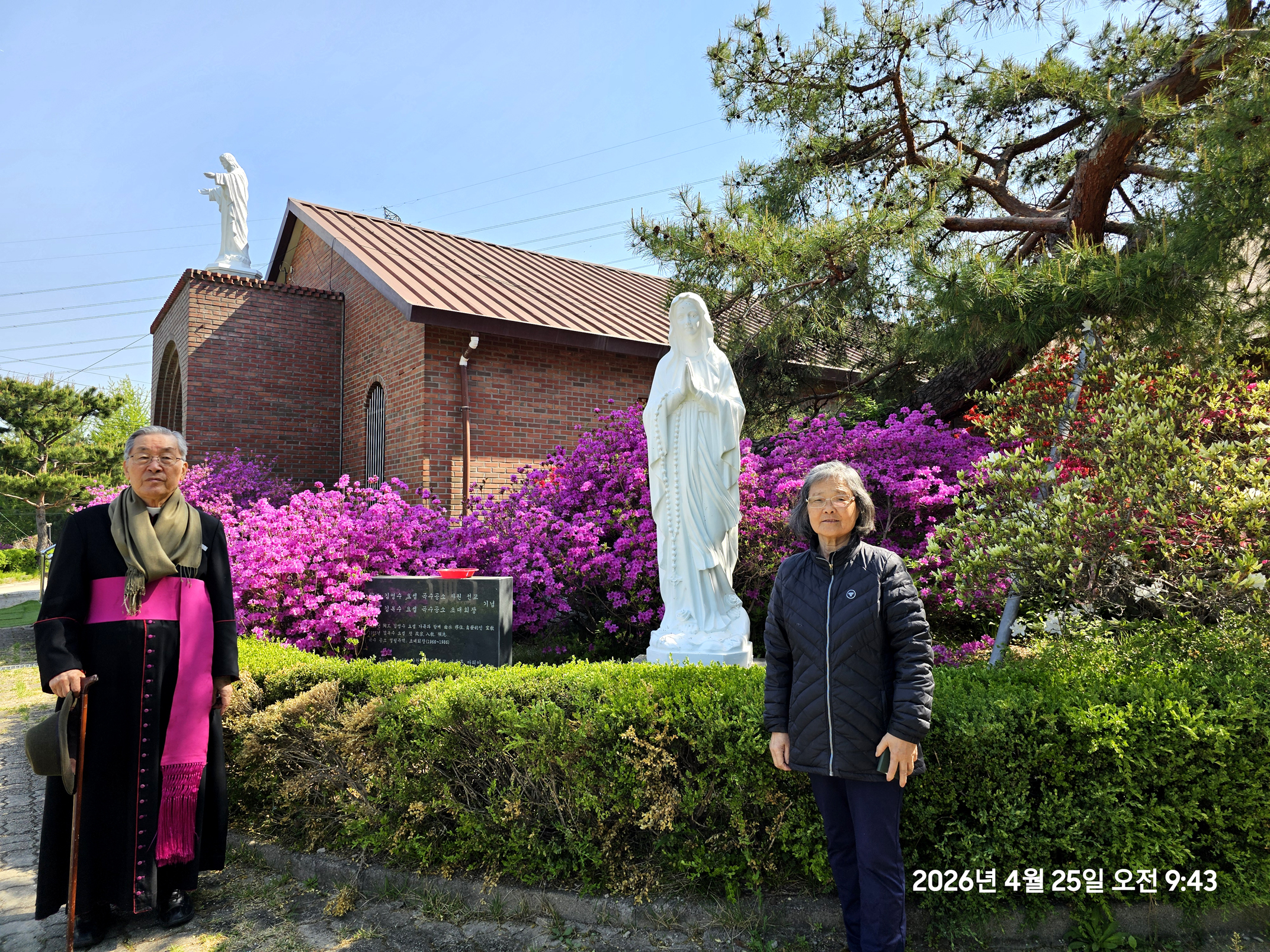 곡수성당, 연산홍 만개(2026.04.21~04.26)