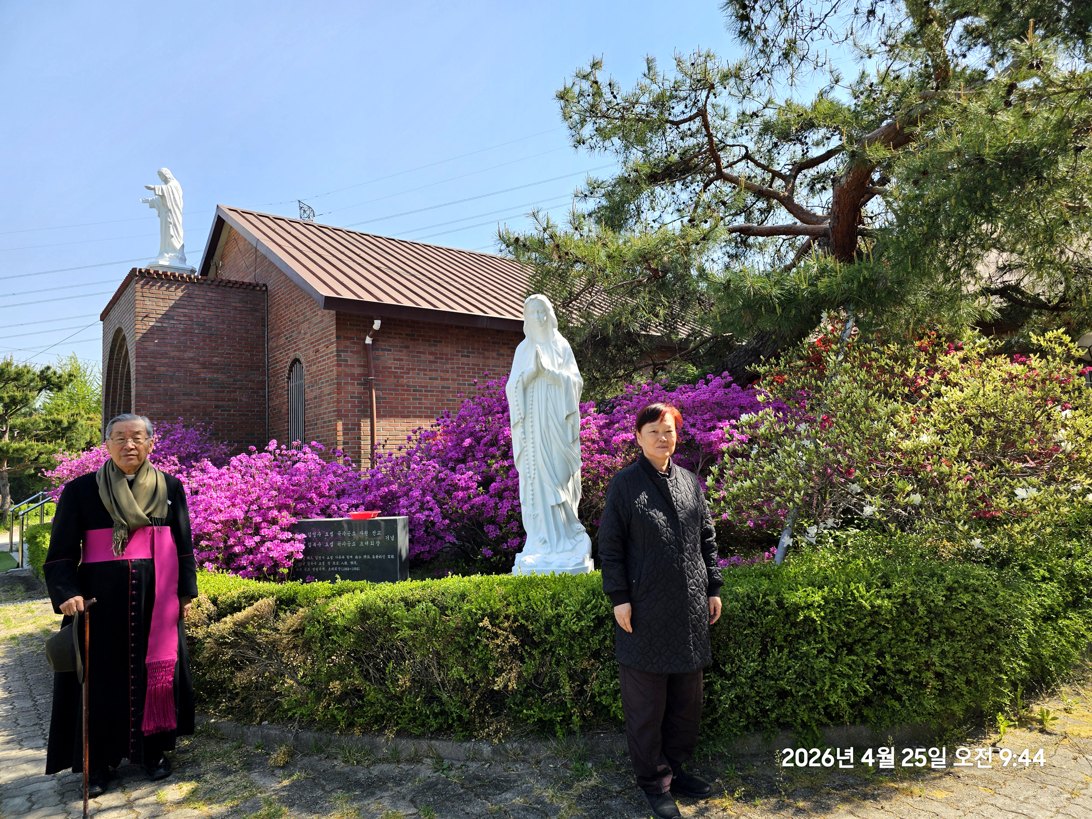 곡수성당, 연산홍 만개(2026.04.21~04.26)